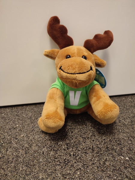 Knuffel met T-shirt