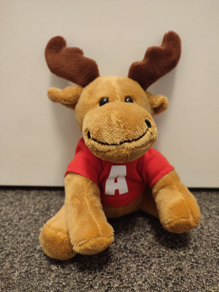 Knuffel met T-shirt